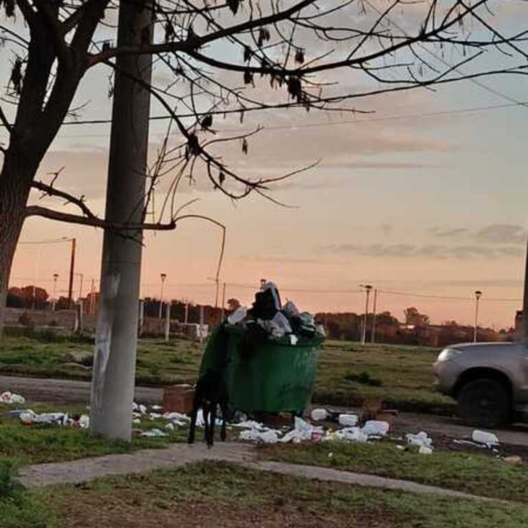 Imagen de Reclamo vecinal por un capacho de basura desbordado en Belgrano y Churchill: "Es una mugre"