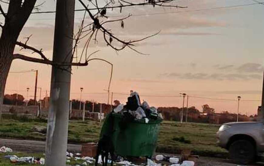 Imagen de Reclamo vecinal por un capacho de basura desbordado en Belgrano y Churchill: "Es una mugre"