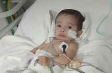 La peque&ntilde;a tiene tan solo 8 meses.