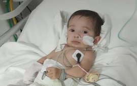 La peque&ntilde;a tiene tan solo 8 meses.