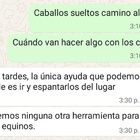 Imagen de Vecino reclam&oacute; por caballos sueltos y cuestion&oacute; la respuesta que recibi&oacute; de Protecci&oacute;n Civil