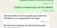 Imagen de Vecino reclam&oacute; por caballos sueltos y cuestion&oacute; la respuesta que recibi&oacute; de Protecci&oacute;n Civil