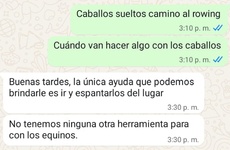 Imagen de Vecino reclam&oacute; por caballos sueltos y cuestion&oacute; la respuesta que recibi&oacute; de Protecci&oacute;n Civil