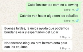Imagen de Vecino reclam&oacute; por caballos sueltos y cuestion&oacute; la respuesta que recibi&oacute; de Protecci&oacute;n Civil