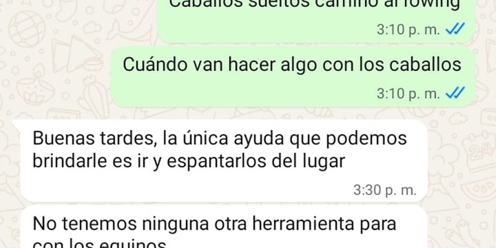 Imagen de Vecino reclam&oacute; por caballos sueltos y cuestion&oacute; la respuesta que recibi&oacute; de Protecci&oacute;n Civil