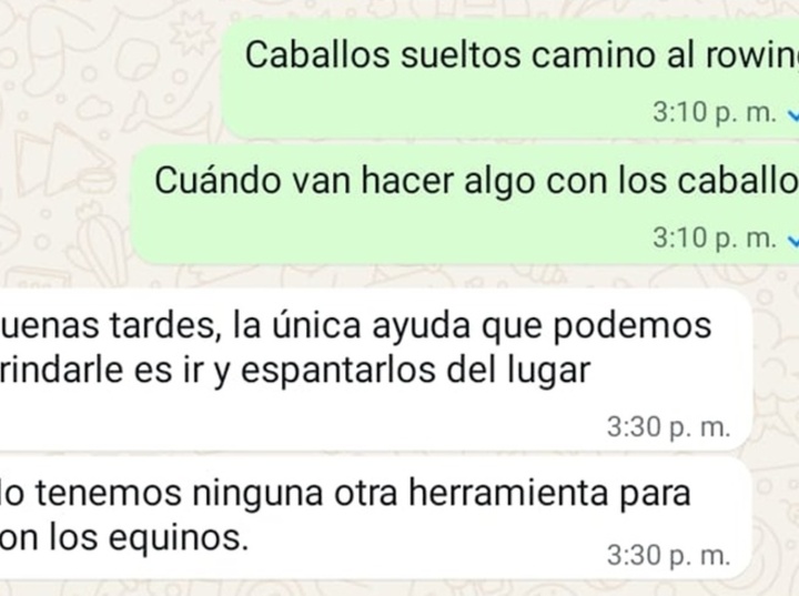 Imagen de Vecino reclam&oacute; por caballos sueltos y cuestion&oacute; la respuesta que recibi&oacute; de Protecci&oacute;n Civil
