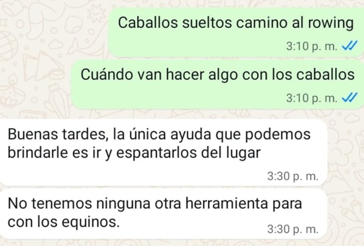 Imagen de Vecino reclam&oacute; por caballos sueltos y cuestion&oacute; la respuesta que recibi&oacute; de Protecci&oacute;n Civil