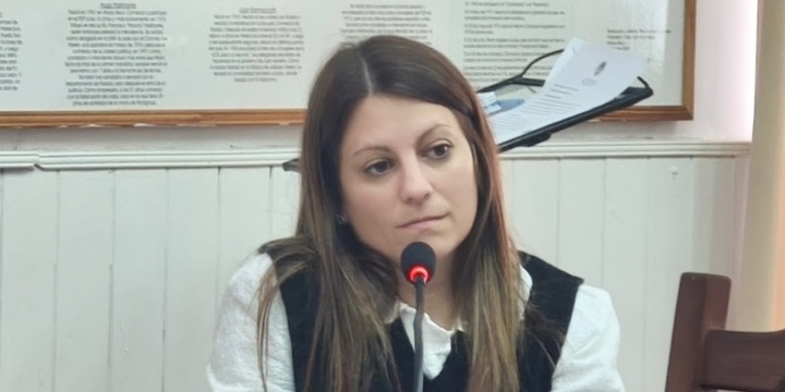 Imagen de Serra volvi&oacute; a reclamar informes al Ejecutivo