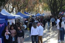 Imagen de Con pe&ntilde;as, ferias y m&uacute;sica en vivo, los vecinos de Arroyo Seco celebraron el D&iacute;a de la Independencia y el aniversario de la ciudad