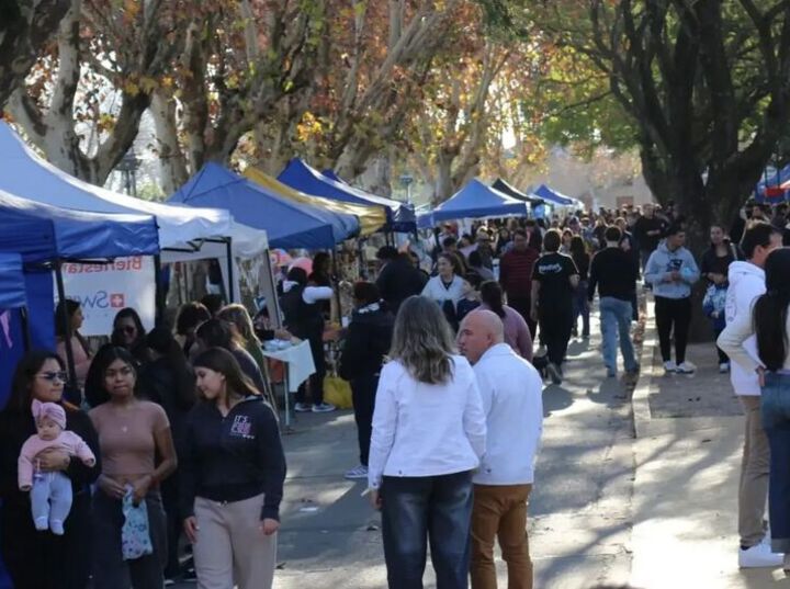 Imagen de Con pe&ntilde;as, ferias y m&uacute;sica en vivo, los vecinos de Arroyo Seco celebraron el D&iacute;a de la Independencia y el aniversario de la ciudad