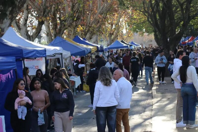 Imagen de Con pe&ntilde;as, ferias y m&uacute;sica en vivo, los vecinos de Arroyo Seco celebraron el D&iacute;a de la Independencia y el aniversario de la ciudad