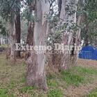 Imagen de Una pareja acampa frente al Cementerio San Roque y necesita ayuda