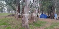 Imagen de Una pareja acampa frente al Cementerio San Roque y necesita ayuda