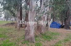 Imagen de Una pareja acampa frente al Cementerio San Roque y necesita ayuda