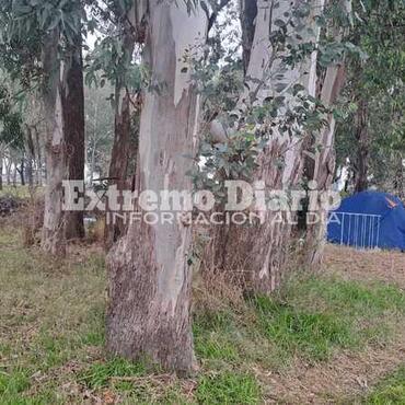 Imagen de Una pareja acampa frente al Cementerio San Roque y necesita ayuda
