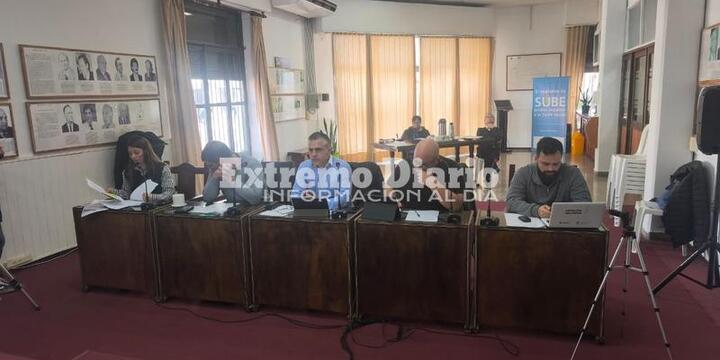 Imagen de La s&iacute;ntesis de todos los proyectos presentados en el Concejo