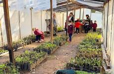 Imagen de Pueblo Esther construye un BioEspacio que unir&aacute; capacitaci&oacute;n, vivero propio y huerta familiar