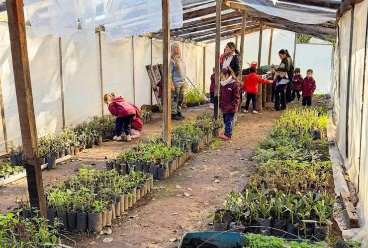Imagen de Pueblo Esther construye un BioEspacio que unir&aacute; capacitaci&oacute;n, vivero propio y huerta familiar