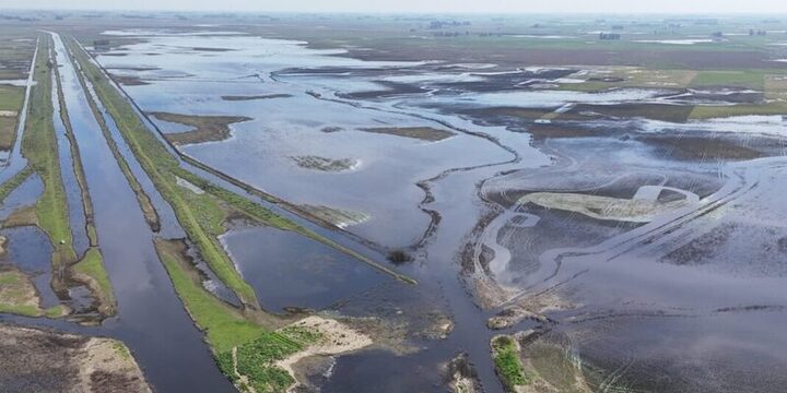 Imagen de Crecida del r&iacute;o Paran&aacute;: aseguran que el ascenso es paulatino y Prefectura pide precauci&oacute;n a los navegantes