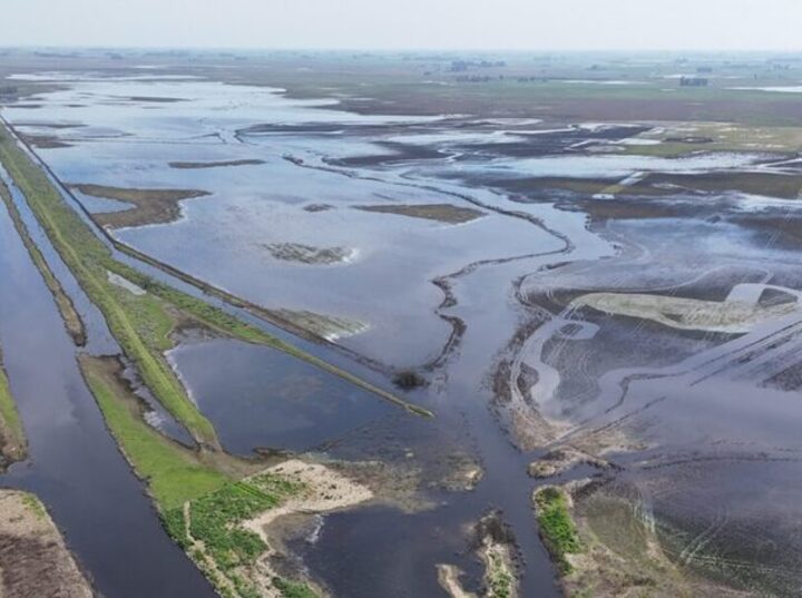 Imagen de Crecida del r&iacute;o Paran&aacute;: aseguran que el ascenso es paulatino y Prefectura pide precauci&oacute;n a los navegantes