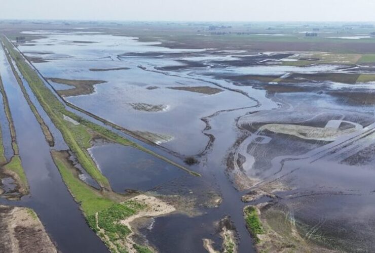 Imagen de Crecida del r&iacute;o Paran&aacute;: aseguran que el ascenso es paulatino y Prefectura pide precauci&oacute;n a los navegantes
