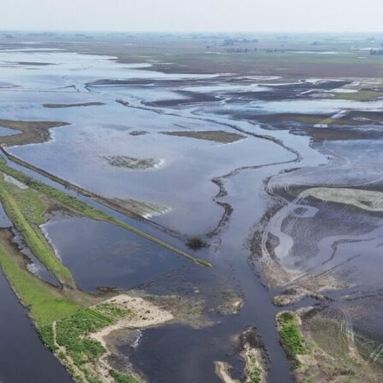Imagen de Crecida del r&iacute;o Paran&aacute;: aseguran que el ascenso es paulatino y Prefectura pide precauci&oacute;n a los navegantes