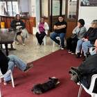El encuentro se desarrollaba esta ma&ntilde;ana en el Legislativo local.