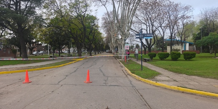 Imagen de Tr&aacute;nsito afectado: Calzada cortada en zona del anfiteatro por tareas de mantenimiento