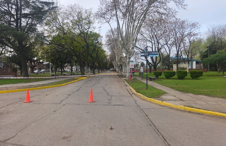 Imagen de Tr&aacute;nsito afectado: Calzada cortada en zona del anfiteatro por tareas de mantenimiento