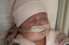 Imagen de Jazm&iacute;n V&aacute;zquez contin&uacute;a evolucionando: de terapia intermedia pas&oacute; a cuna