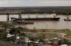 Imagen de El Puerto de Villa Constituci&oacute;n embarc&oacute; m&aacute;s de 10.000 toneladas de arvejas con destino a Venezuela