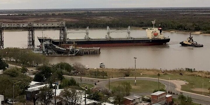 Imagen de El Puerto de Villa Constituci&oacute;n embarc&oacute; m&aacute;s de 10.000 toneladas de arvejas con destino a Venezuela