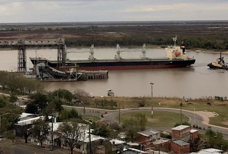Imagen de El Puerto de Villa Constituci&oacute;n embarc&oacute; m&aacute;s de 10.000 toneladas de arvejas con destino a Venezuela