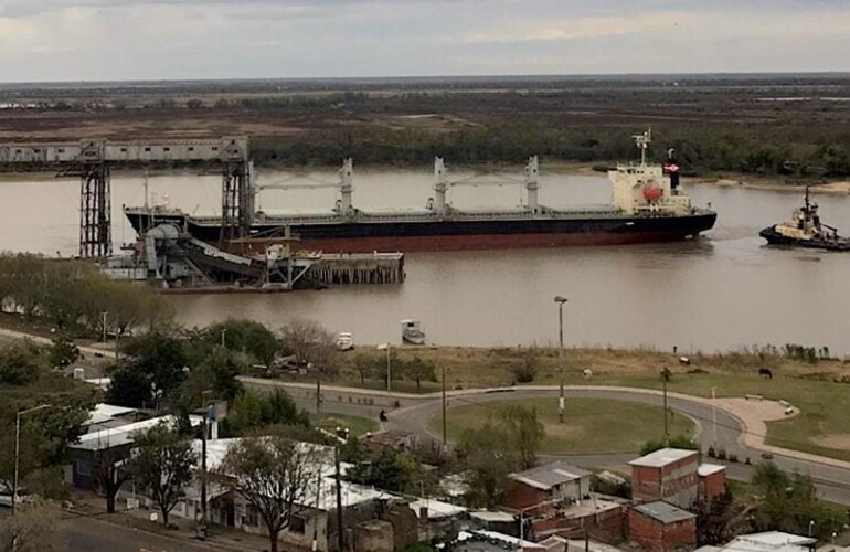 Imagen de El Puerto de Villa Constituci&oacute;n embarc&oacute; m&aacute;s de 10.000 toneladas de arvejas con destino a Venezuela