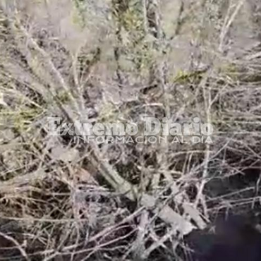 Foto: Captura de pantalla video