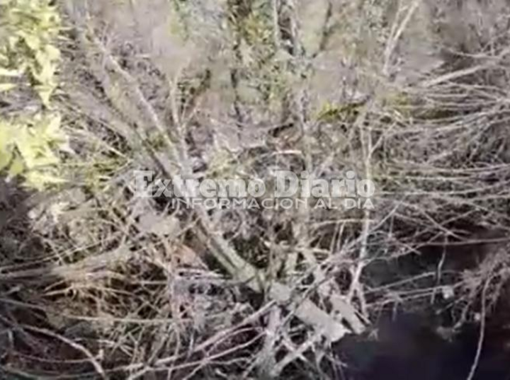 Foto: Captura de pantalla video