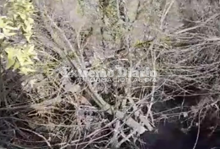 Foto: Captura de pantalla video