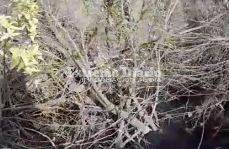 Foto: Captura de pantalla video