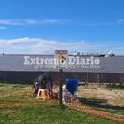 Imagen de Colocaron se&ntilde;alizaci&oacute;n preventiva pero siguen usando el sector