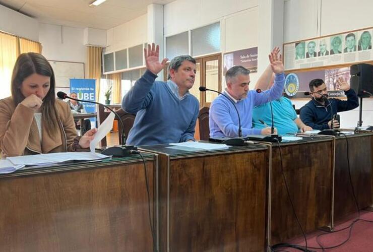 Imagen de Caballos sueltos: la concejal Milagros Serra argument&oacute; su rechazo a la compra directa de un tr&aacute;iler de traslado