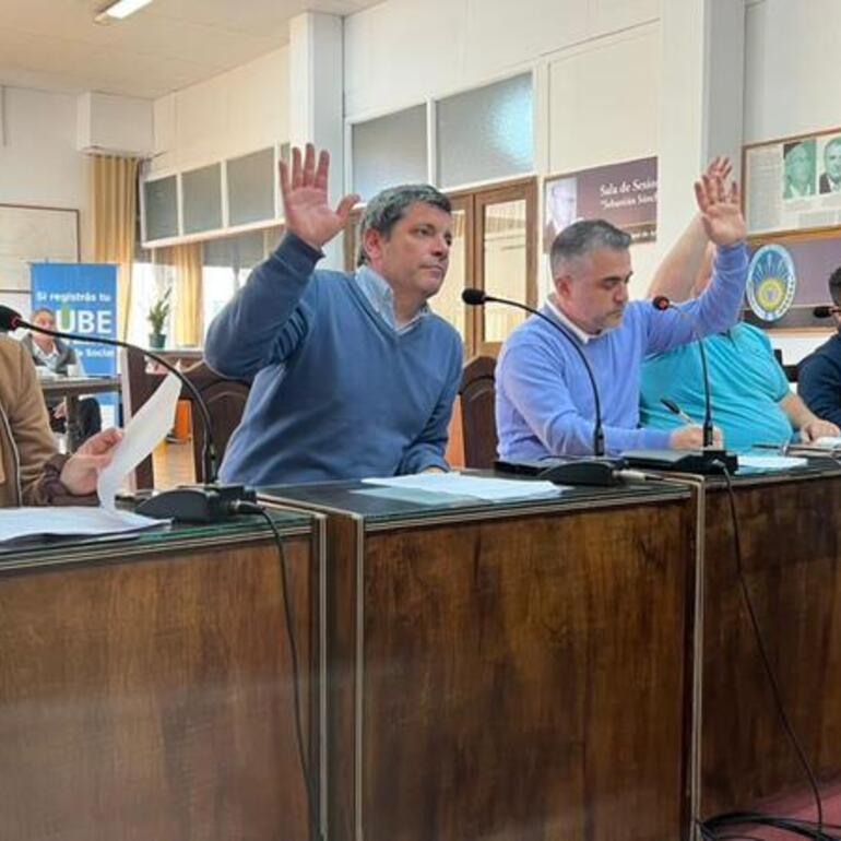 Imagen de Caballos sueltos: la concejal Milagros Serra argument&oacute; su rechazo a la compra directa de un tr&aacute;iler de traslado