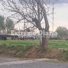Imagen de Homicidio en Arroyo Seco: tres aprehendidos y un allanamiento tras el crimen