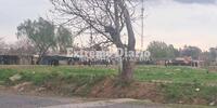 Imagen de Homicidio en Arroyo Seco: tres aprehendidos y un allanamiento tras el crimen Imagen de Homicidio en Arroyo Seco: tres aprehendidos y un allanamiento tras el crimen