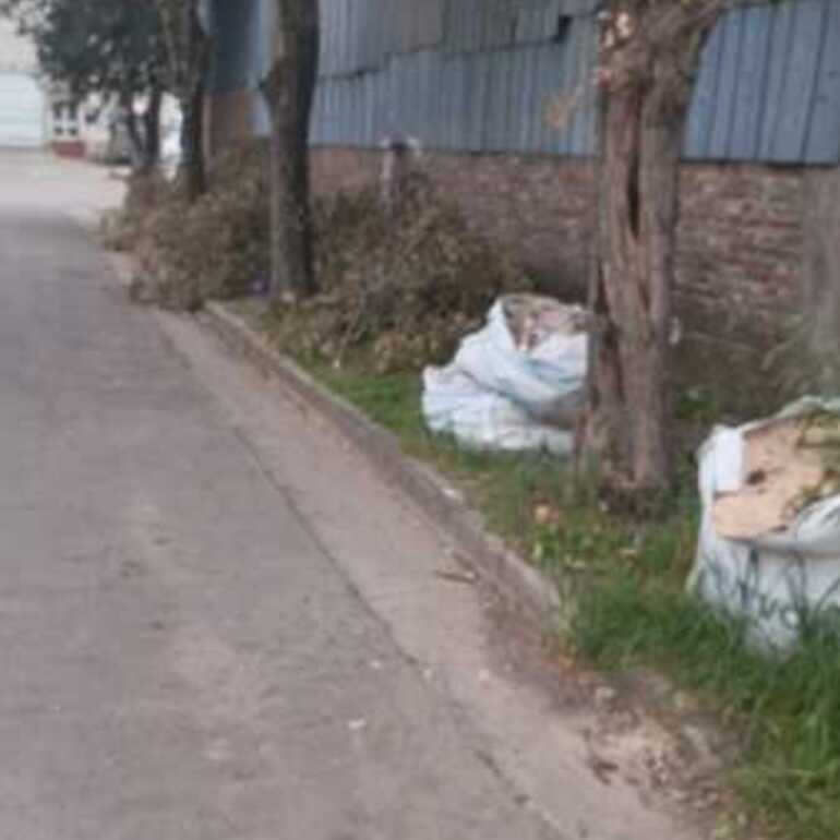 Imagen de Reclamo vecinal en Cortada Medicina y San Nicol&aacute;s por acumulaci&oacute;n de restos de poda