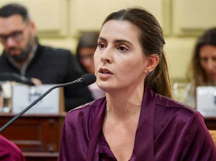 Imagen de Cattalini present&oacute; un proyecto para que jueces, fiscales y defensores respondan bajo las mismas reglas