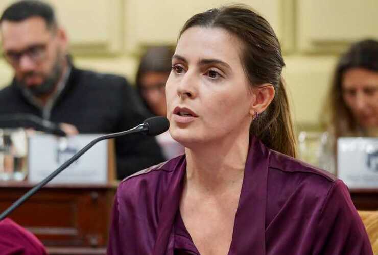 Imagen de Cattalini presentó un proyecto para que jueces, fiscales y defensores respondan bajo las mismas reglas Imagen de Cattalini presentó un proyecto para que jueces, fiscales y defensores respondan bajo las mismas reglas