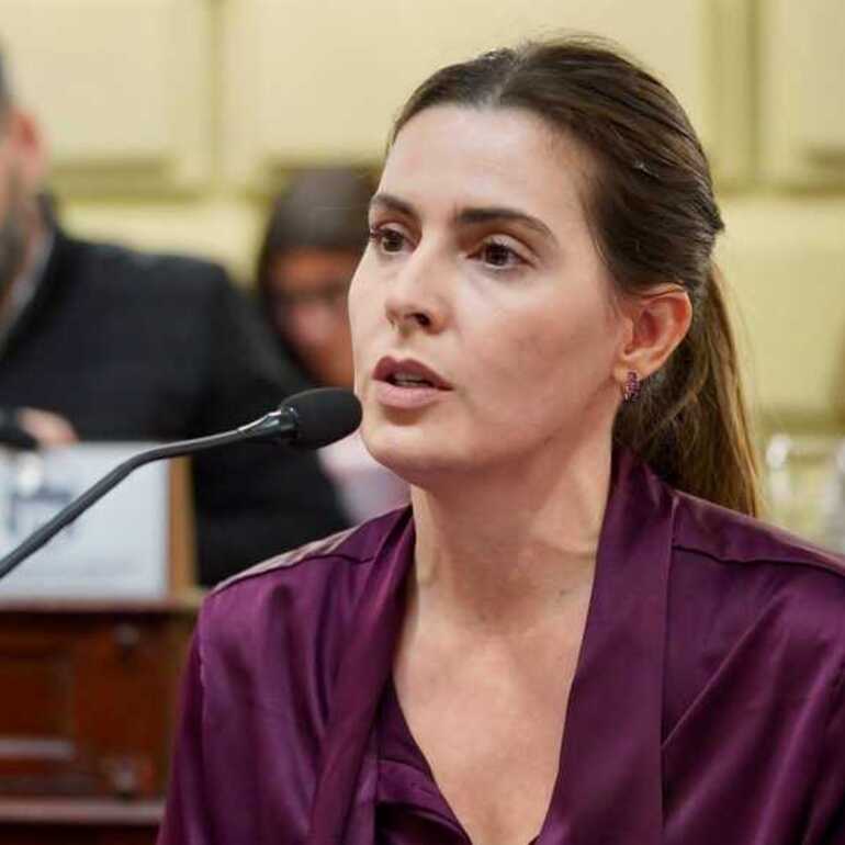 Imagen de Cattalini present&oacute; un proyecto para que jueces, fiscales y defensores respondan bajo las mismas reglas