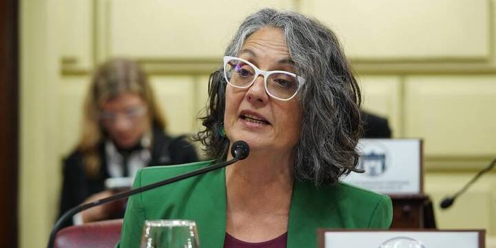 Proyecto impulsado por la diputada provincial Rosana Bellatti.