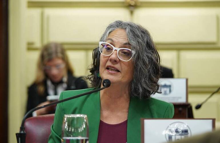 Proyecto impulsado por la diputada provincial Rosana Bellatti.
