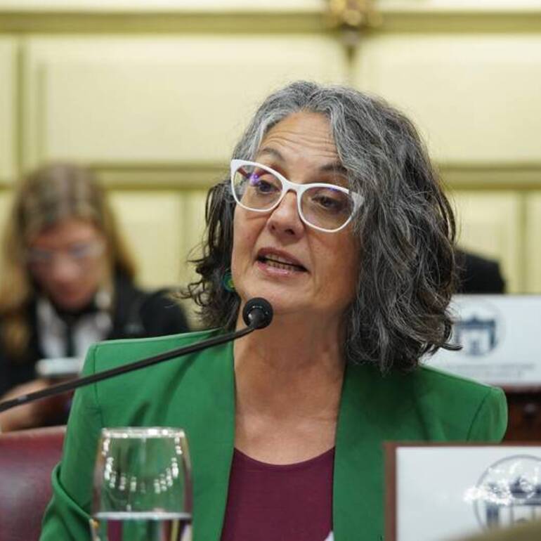 Proyecto impulsado por la diputada provincial Rosana Bellatti.